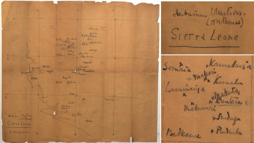 Northcote Thomas Sierra Leone herbarium specimen map 1914-15