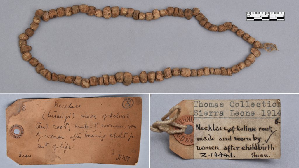Susu necklace and labels collected by Northcote Thomas, Sierra Leone, 1914