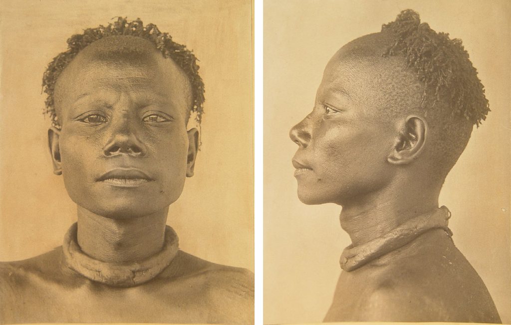 Physical Type photograph of Riala, Heads of the Andamanese, M. V. Portman, British Museum