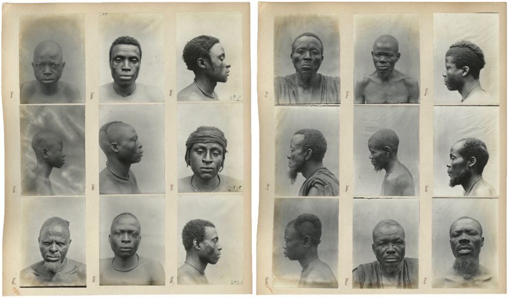 Physical type portraits in Northcote Thomas photograph album, Anthropological Survey of the Ibo-speaking Peoples of Nigeria