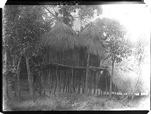 Onica Olona, Nigeria. Photograph by N. W. Thomas 1912-13.