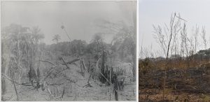 Satka in farm, Kamalo, Sierra Leone - 1914 and 2019