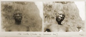 Northcote Thomas photographs of ichi marks the day after they were cut