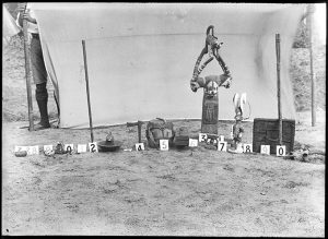 Photograph by Northcote Thomas of objects lined up prior to being sent to Museum of Archaeology and Anthropology, Cambridge