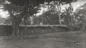 Uli mural, Ngene shrine, Nibo, photographed by Northcote Thomas in 1911.