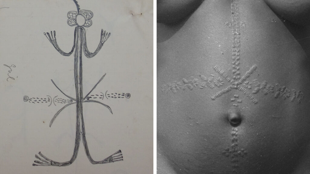Left: drawing representing a girl with mbubu scarification marks collected by Northcote Thomas. Right: detail of photograph by Northcote Thomas of mbubu scarification marks, Awka, 1910-11.